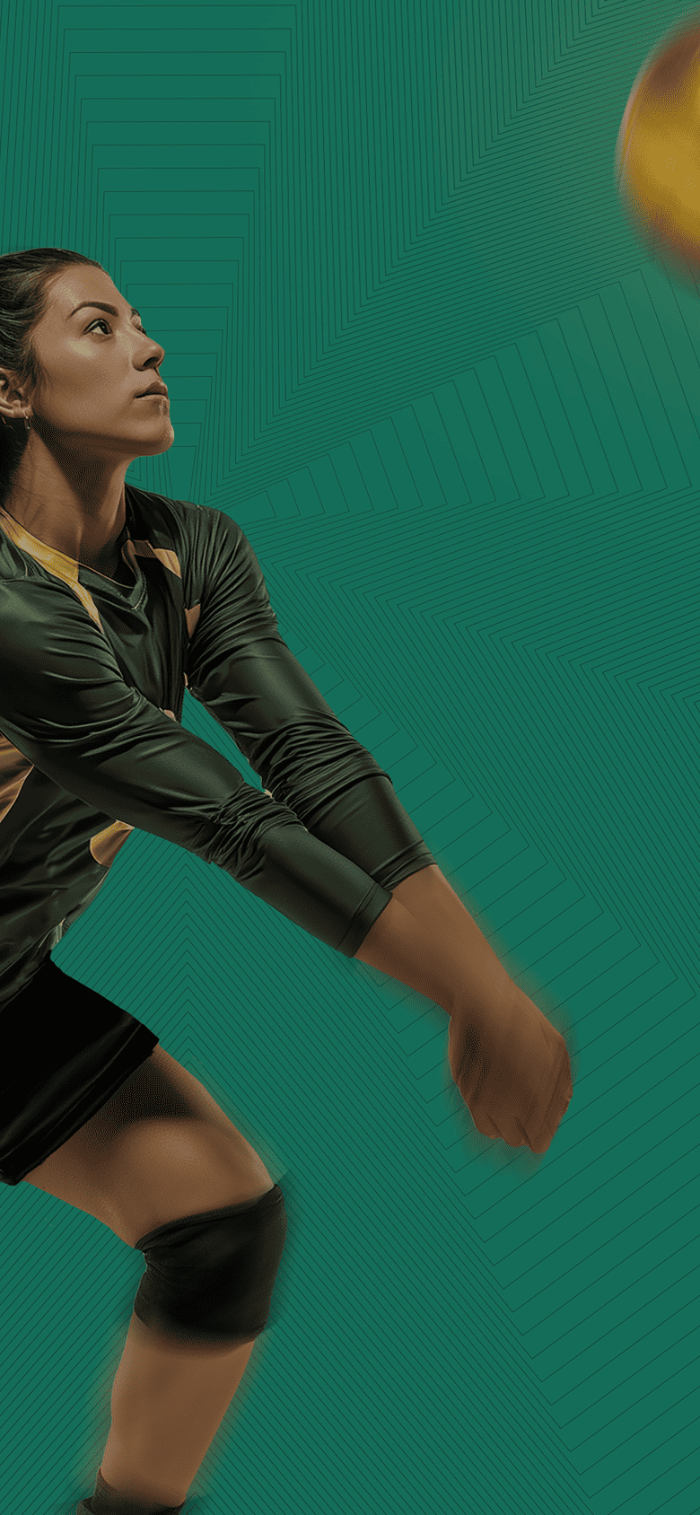 Mobile image for slide 1